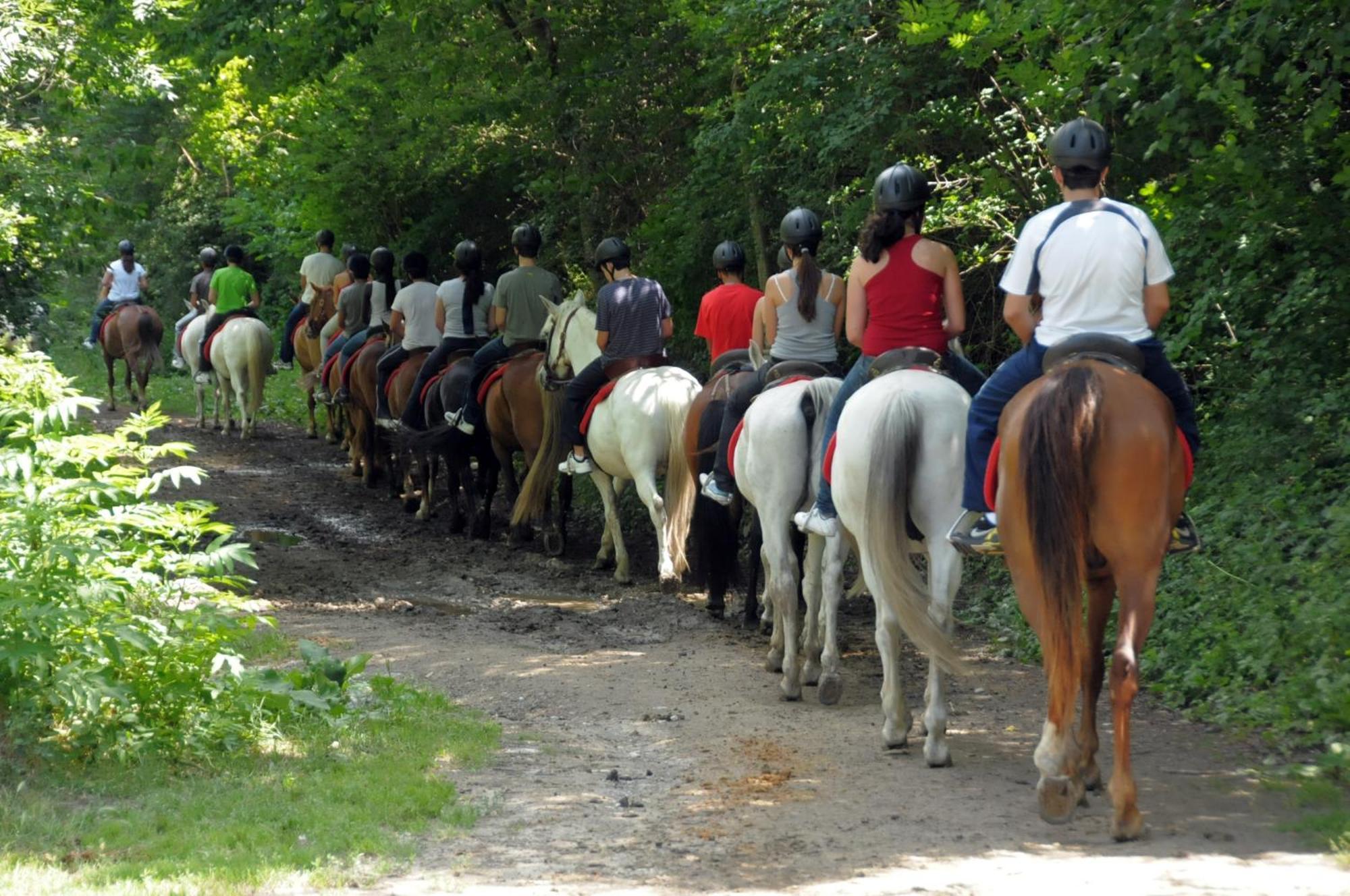 Camping Solau Espot Kültér fotó